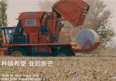 新疆棉区大规模种植怎么选种？鸿泰种业定制化棉种选配方案推荐