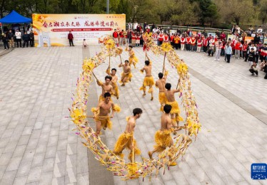 多彩活动迎接“二月二，龙抬头”