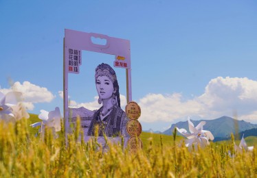 在“中国麦乡”新疆奇台，探寻金龙鱼新疆雪花粉的好源头！