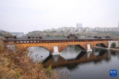 中国木拱桥传统营造技艺传承发展活动在浙江泰顺举行